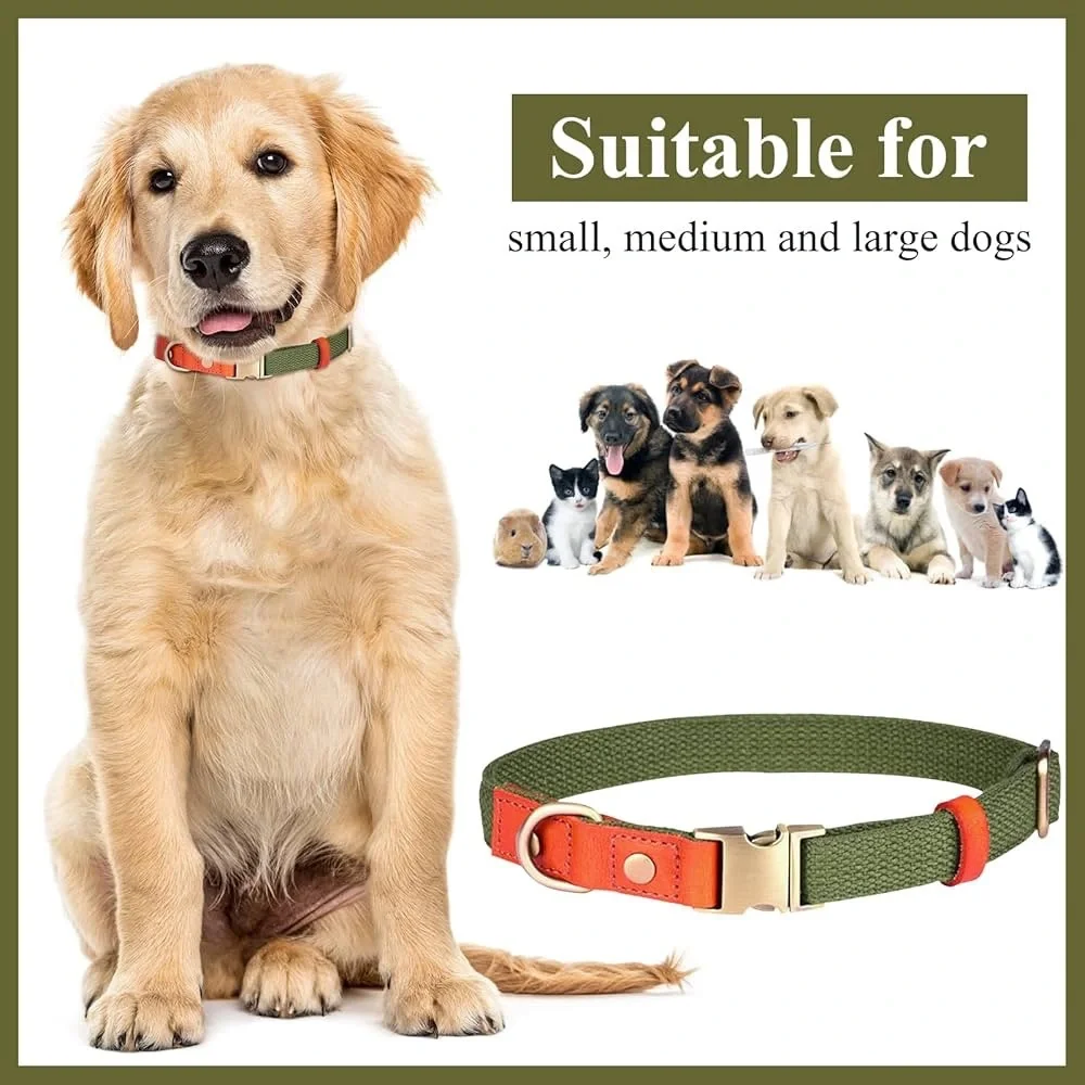 Ajustable Custom Dog Collar with Quick Release Buckle